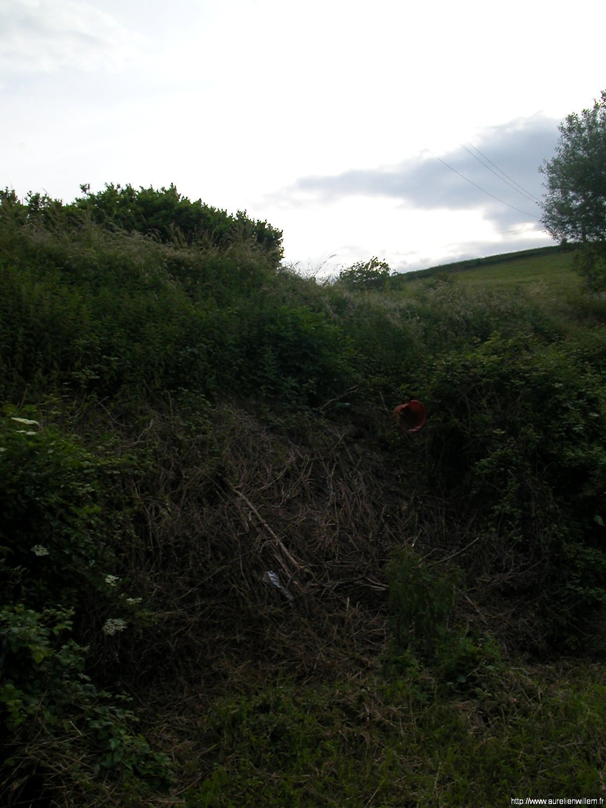 Les traces