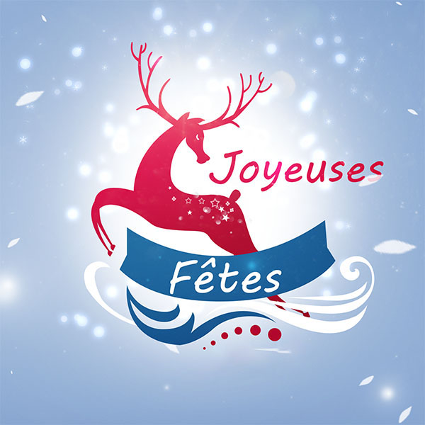 Joyeux Noël, Bonne année